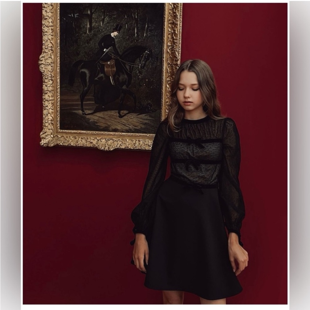 Lichi elegant Black Dress with Sheer Sleeves